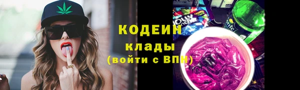 гашик Билибино