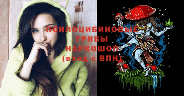 дурь Нея