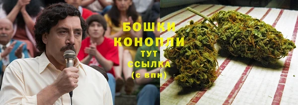 мескалин Новодвинск