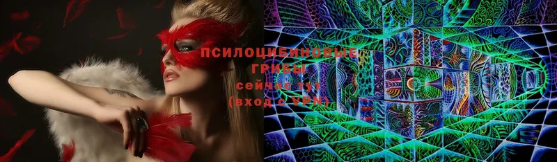 Псилоцибиновые грибы Cubensis  Кола 